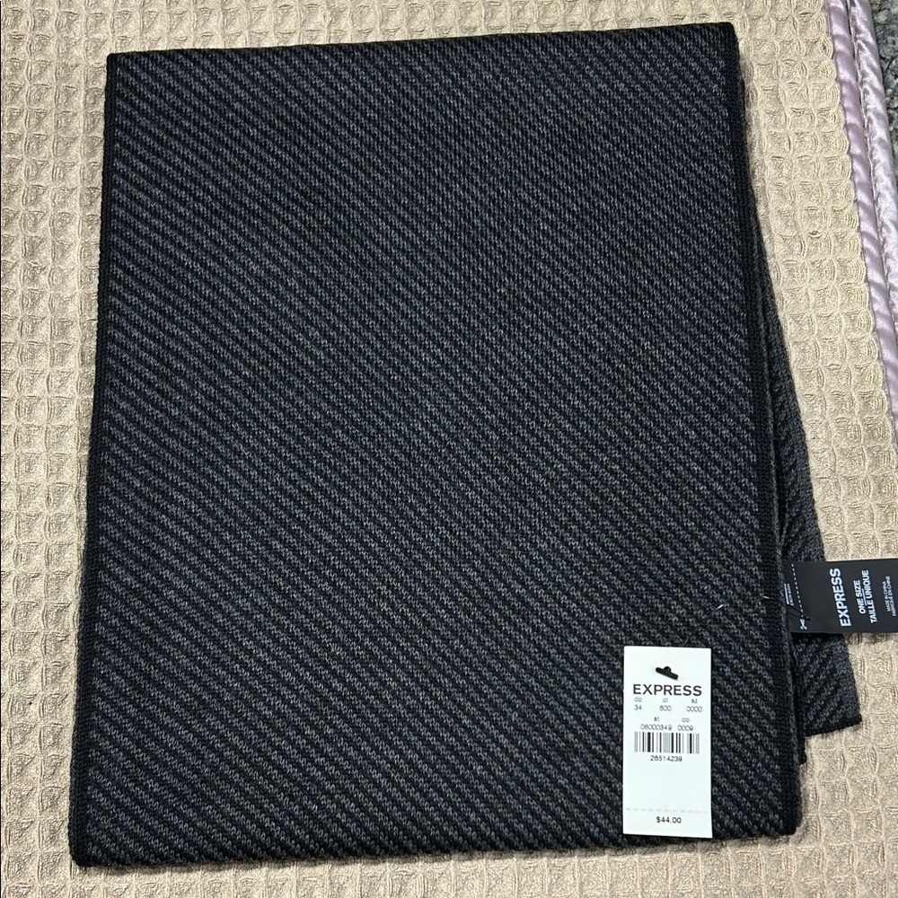 NWT Express Charcoal Men's Scarf